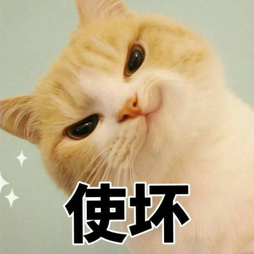 有哪些专用于撩妹撩汉的表情图