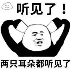 沙雕表情包gif熊猫