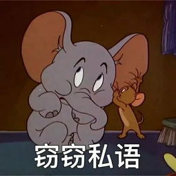 猫和老鼠全套表情包