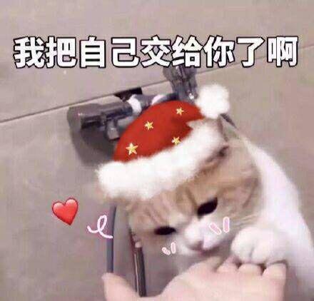 微信杜蕾斯表情包肯德基