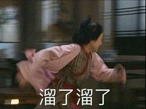 送派出所遛狗不拴绳定性为野狗,获业主纷纷点赞