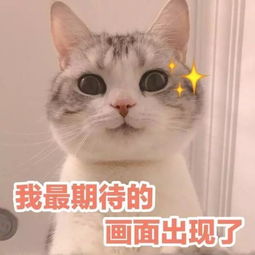 主持人库决赛由我发声贺礼华诞