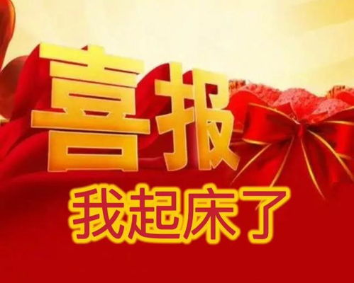 起床了表情包gif搬砖
