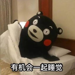 盖被子表情包同床