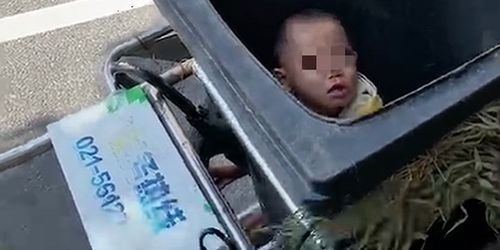 丢进垃圾箱表情包赌气