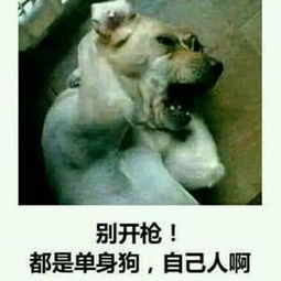笑话五条我们这公司啊,水很深