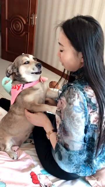 决心要减肥的狗子,今天打自己脸了,看这可怜的小表情
