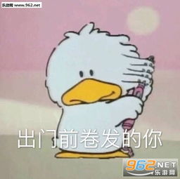 问号表情包迷茫猫咪