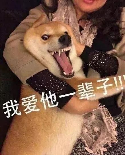 性冷淡的年轻人