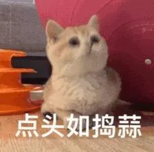 可怕厦门一轿车失控冲上人行道,一孕妈带着孩童经过,结果...