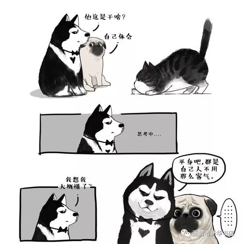 就喜欢你看不惯我又干不掉我的样子