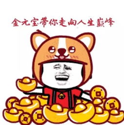 传输运气表情包头像图片