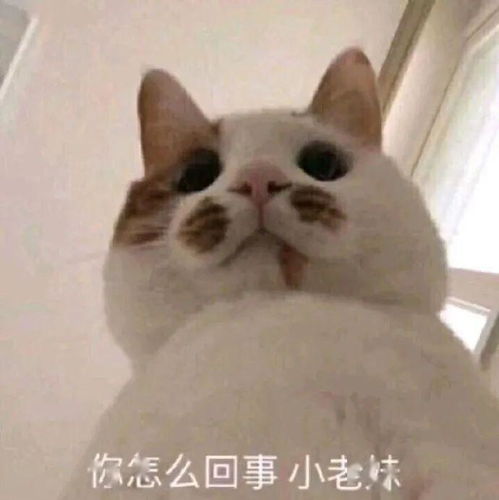 你不行啊小老弟表情包情话