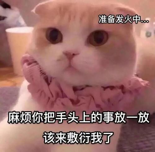 聊天表情包可爱又沙雕