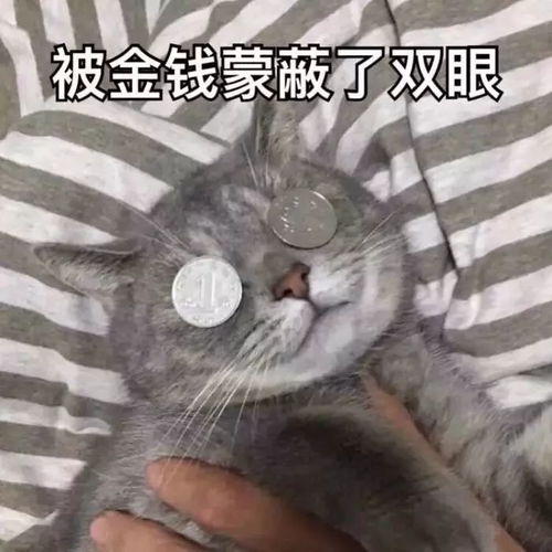 月入过万没想到宁波最赚钱的职业是...