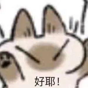 吃够了生活的苦丨第792期喵表情包