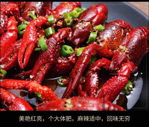 麻辣小龙虾蒜蓉网红真空包装熟食龙虾活新鲜香辣即食自热盒装3斤