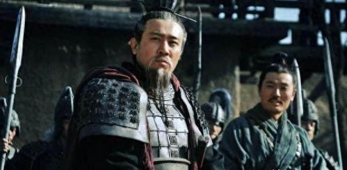 若刘备没错过这位大将,夷陵之战或许不会如此惨烈,他堪比姜维