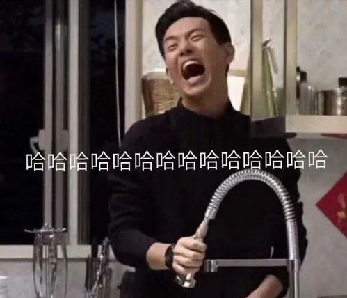 沙雕表情包l你好,美丽的姑娘