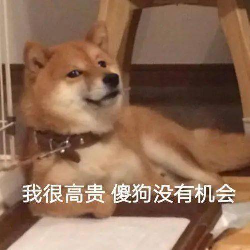 靠的表情包红榜