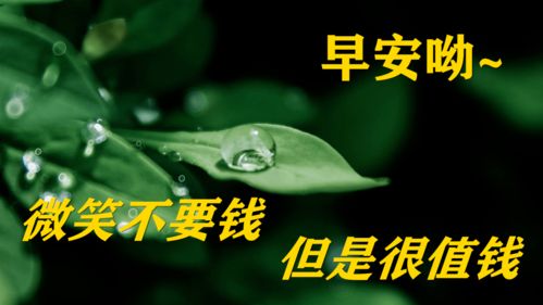 2021早上好问候祝福动态表情图片最新早晨好问候动态图片表情