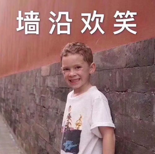 懒得争吵表情包