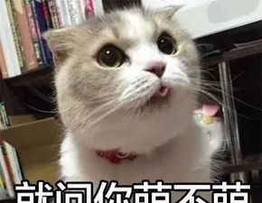 最会逗人开心的十二星座排行,你排第几
