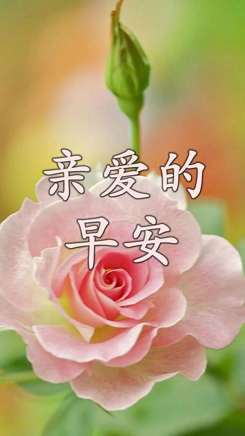 早上好祝福语短信集锦早安漂亮表情图片带祝福语