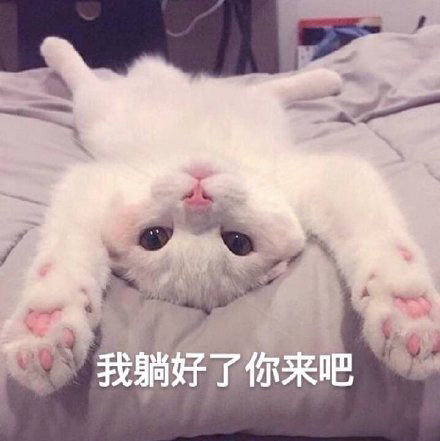 我准备好了来吧表情包