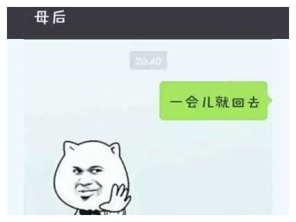 当爸妈学会用表情包聊天后,仿佛打开了新世界的大门