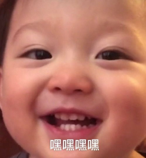 撩人表情包取图片微信聊天,怼人必备