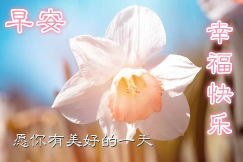 最新版早安问候语动态图片表情清晨早上好问候祝福动态表情图片
