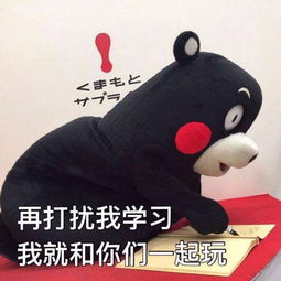是考试题目不够难,还是你复习姿势不够销魂