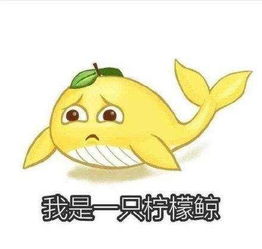 司马老贼微博关注隐形守护者武藤纯子,博马哥眼球新方法