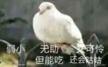 我的侠客试玩记录7一周目最终完结篇