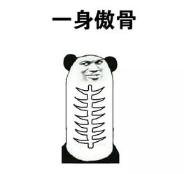 你月薪8千还用lamer,一定是富二代吧