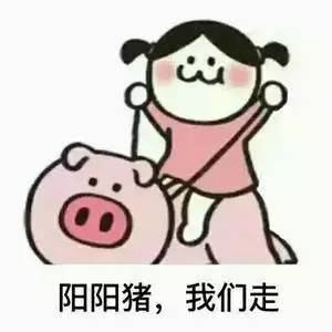 开心一刻一只皮皮虾引发的一场生物大战