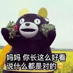 聊聊母亲节