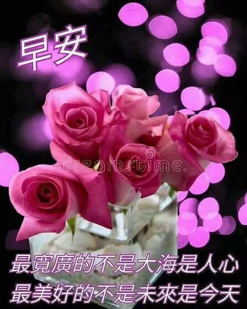 新版清晨早上好问候语微信朋友圈最美早安祝福表情图片