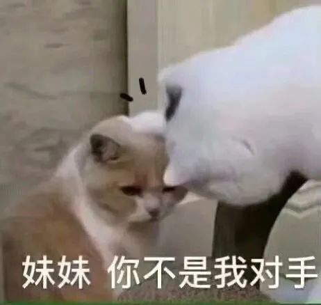 植发机构死缠树奈奈合作被拒,水友评论精准打击
