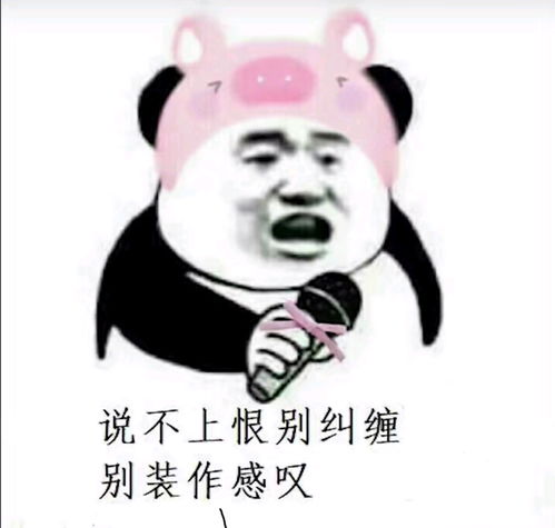 半佛老师视频里面的表情包无水印