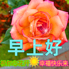 聊天不用打字的早上好动态表情包,早安你好,祝你一帆风顺