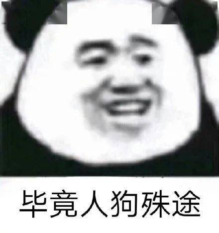 今日份沙雕搞笑熊猫头表情包