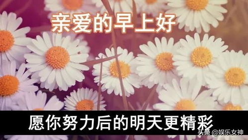 晨露闪闪,信心到,愿你每天乐逍遥,早安