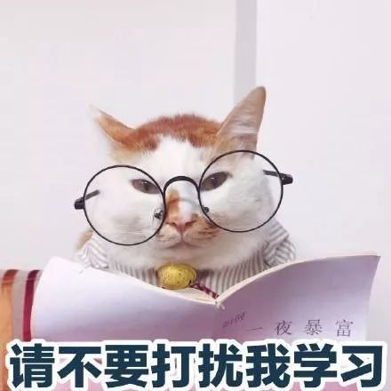免打扰表情包为什么