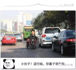 交警推违章者大头表情包,你要吐槽还是点赞