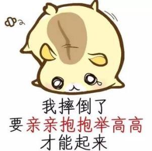 想举高高,不,你不想表情包