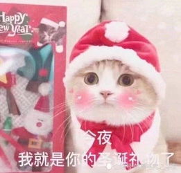 情侣圣诞节秀恩爱专用表情包今夜我就是你的圣诞节礼物