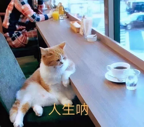 好可爱的表情包gif小表情包宝贝,我想你啦
