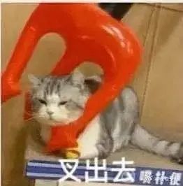 王思聪我命油我不油天丨第124期喵表情